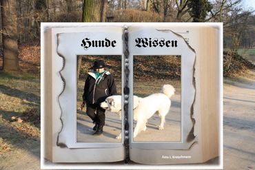 produziert: Antje Kretschmann Das große Buch
