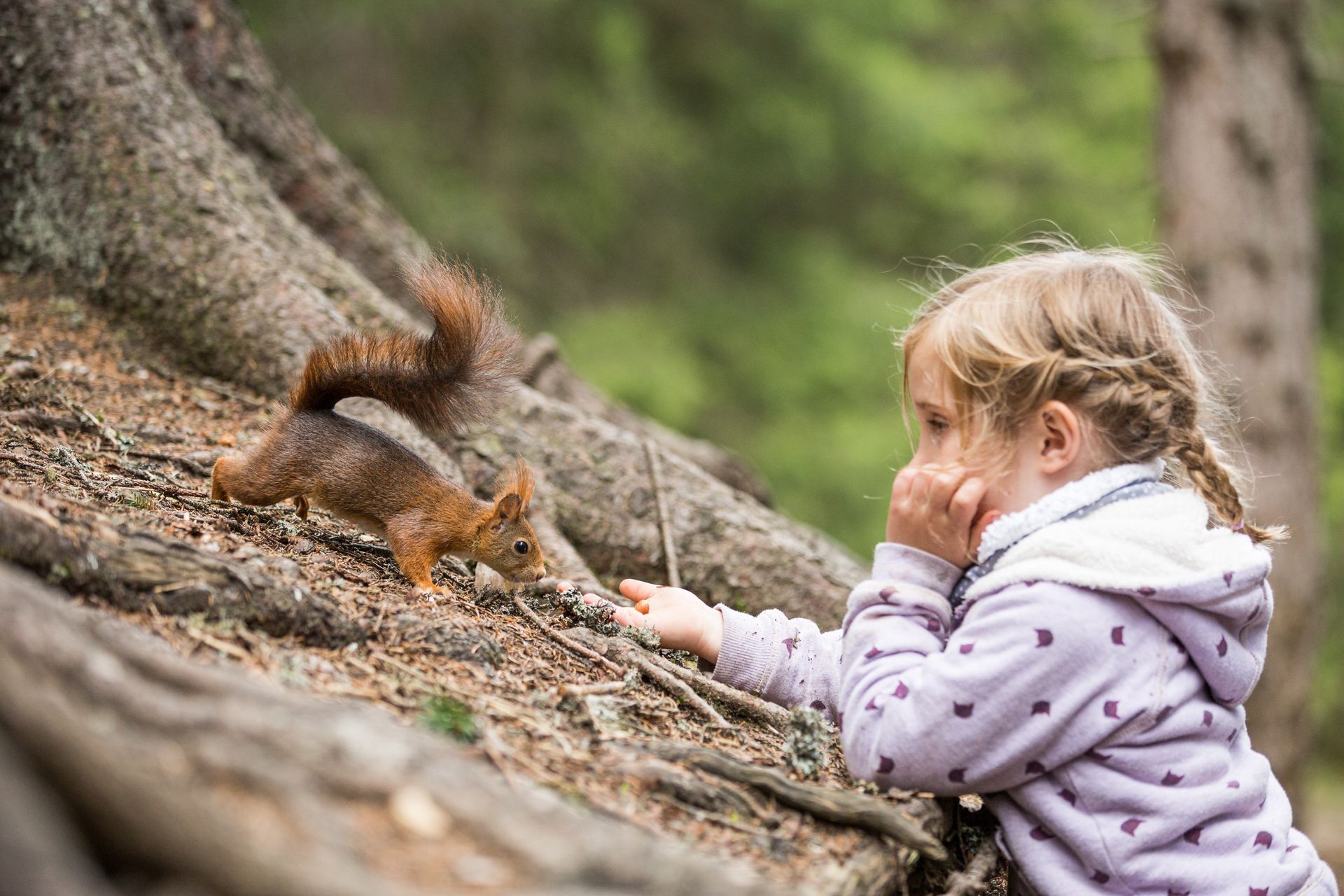 Spielgruppe Bad Schwalbach