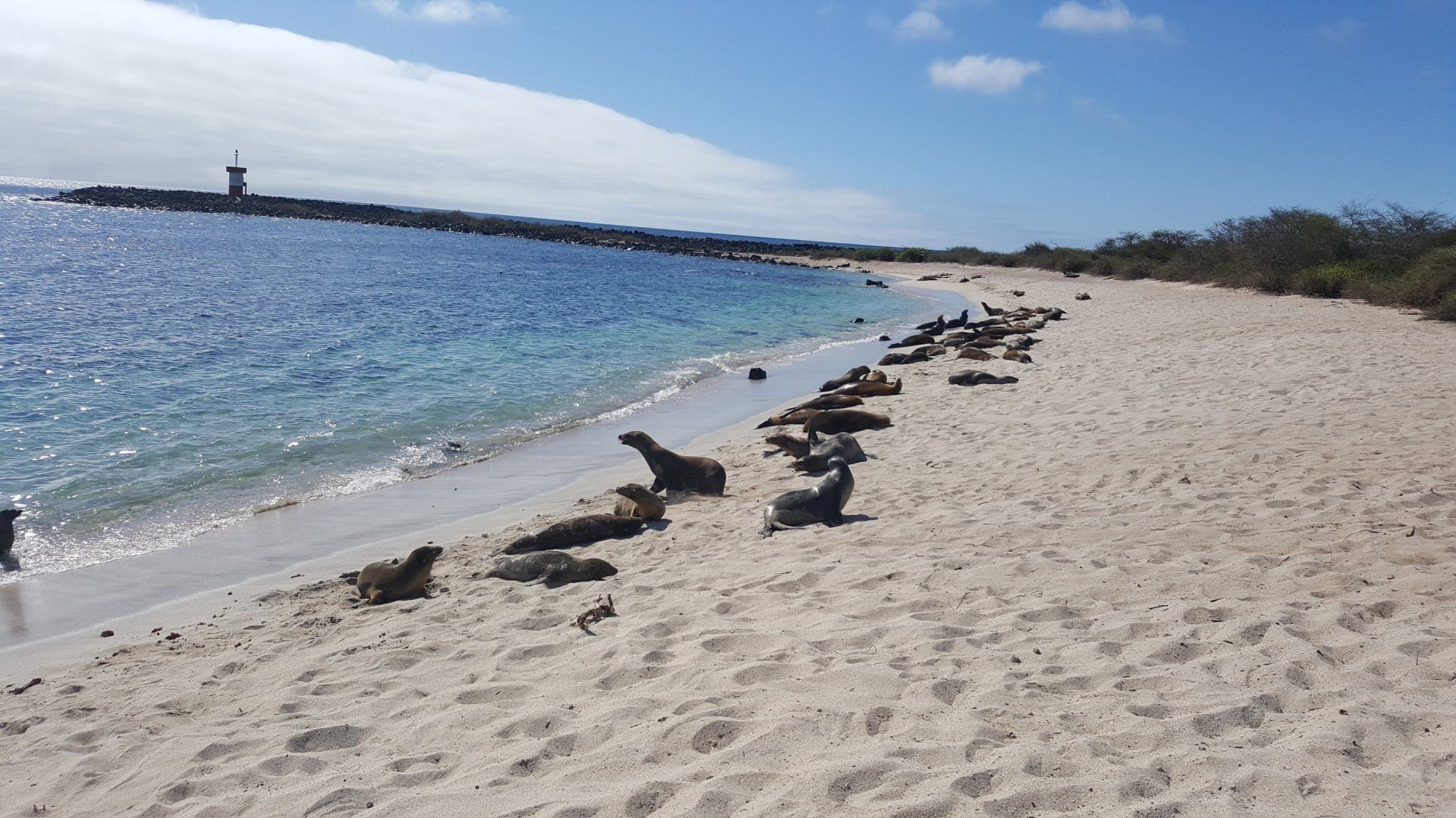 Galapagos