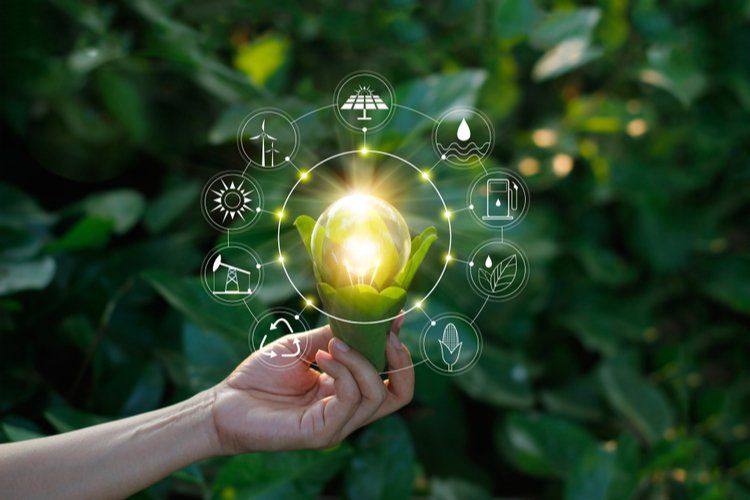 fornitori di energia