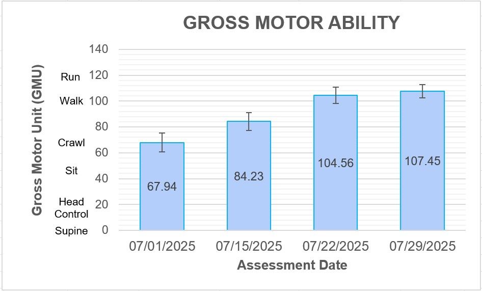 Gross Motor Ability Bar Graph