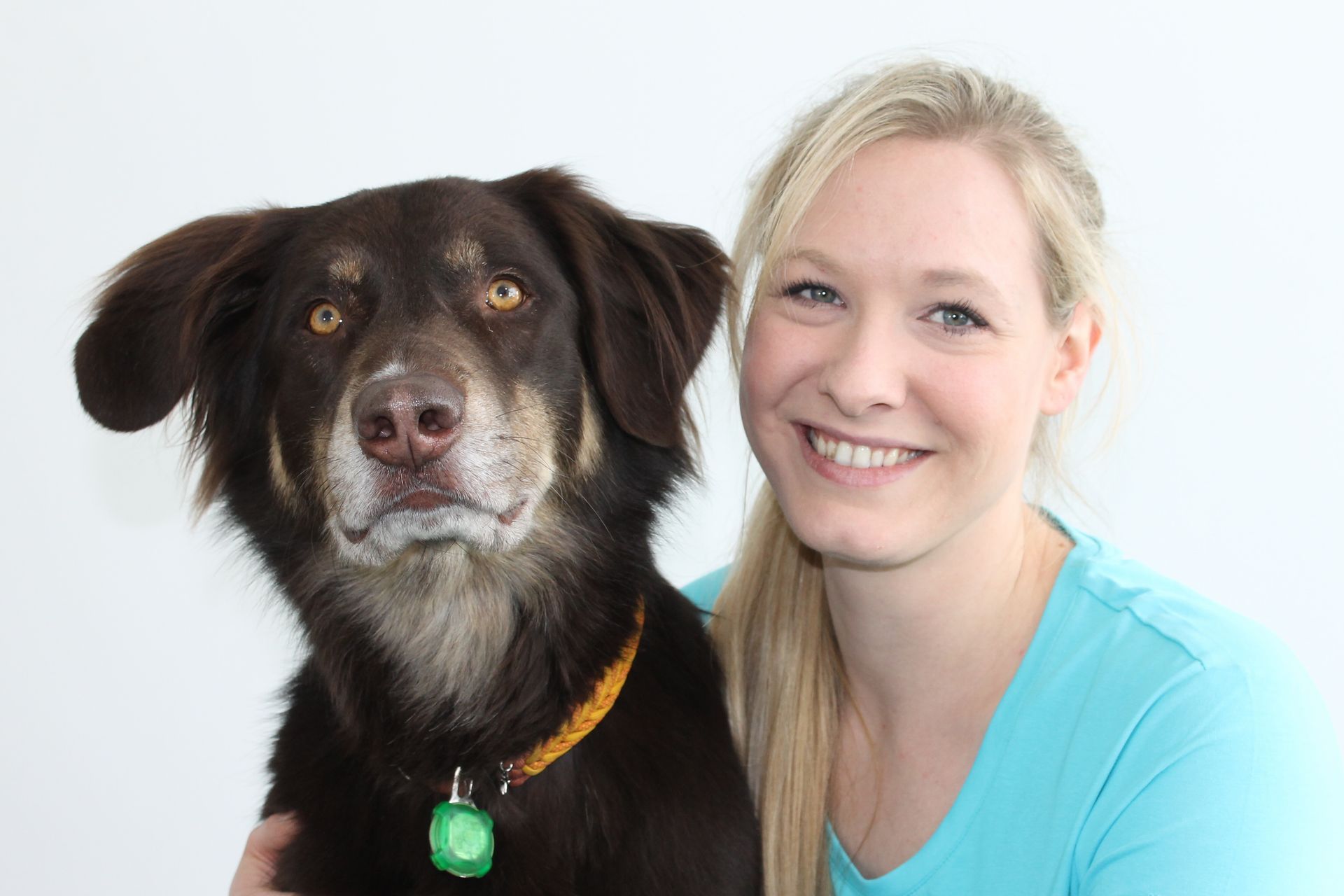 Tierphysiotherapie, Hundephysiotherapie, Pferdephysiotherapie, Behandlung, Hund, Therapie, Physio, Physiotherapie, Pia Heinloth, Hunde, Pferde, Katzenphysiotherapie