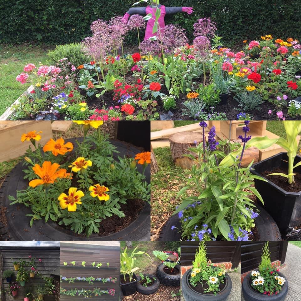 Garden in bloom