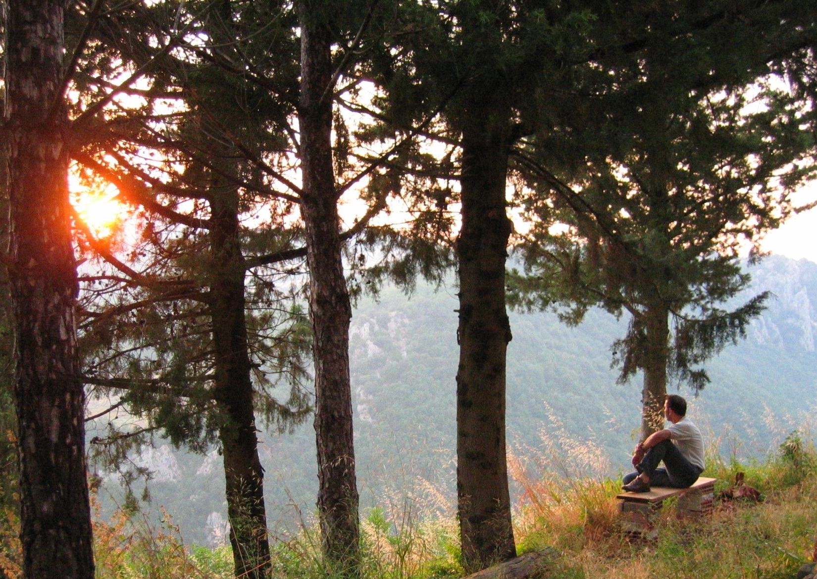 Mann meditiert im Wald - Beziehungsräume