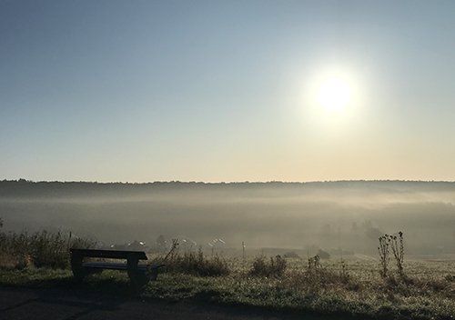 Bank vor Nebellandschaft - Beziehungsarbeit und Coaching Maria Hubert