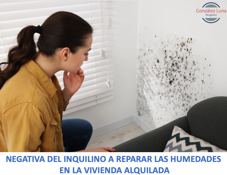 Moho por humedad en vivienda alquilada; inquilino impide reparar y agrava daños y riesgos legales.