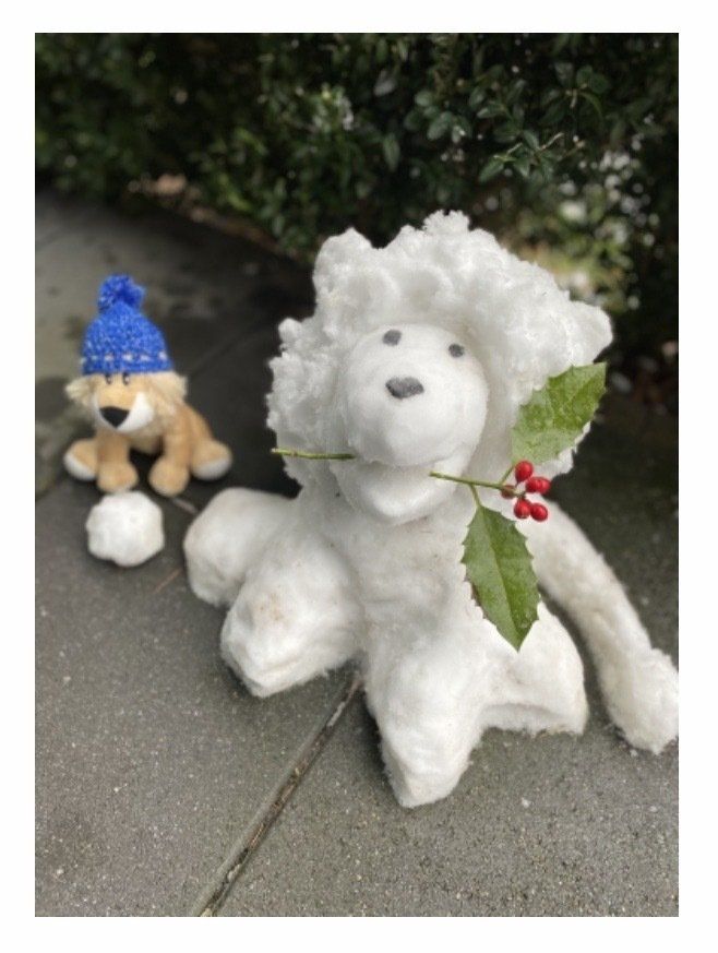 Schnee-Leo von Felix, Klasse 6a