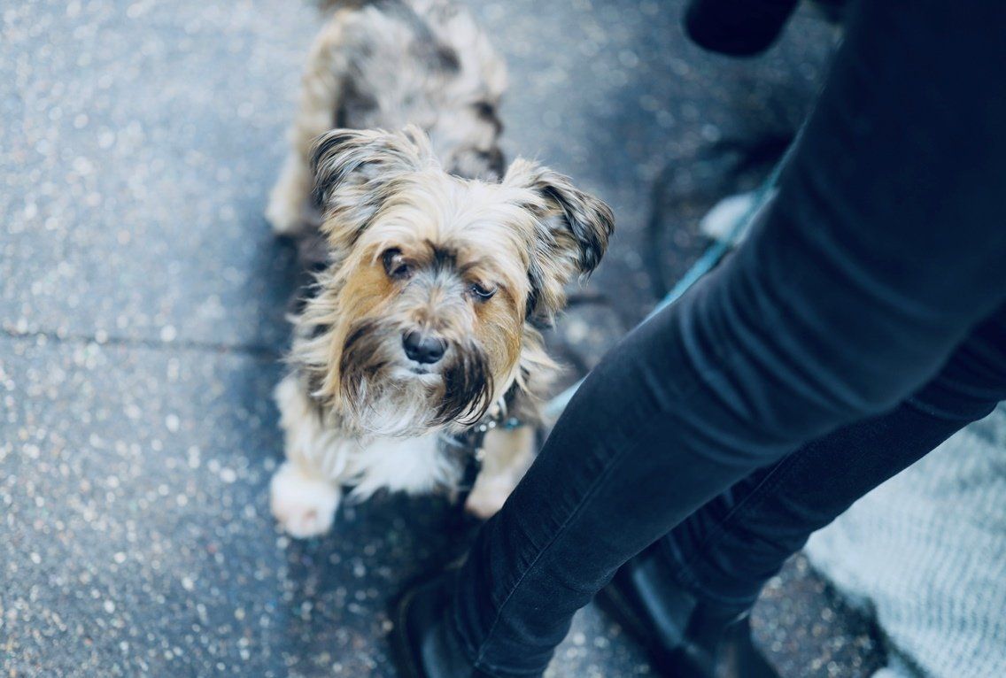 Team Schlüsseldienst Ebertplatz Köln