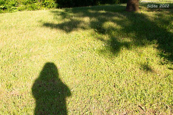 Ein letzter Gruß Grabgestaltung mit dem letzten Paar Schuhe