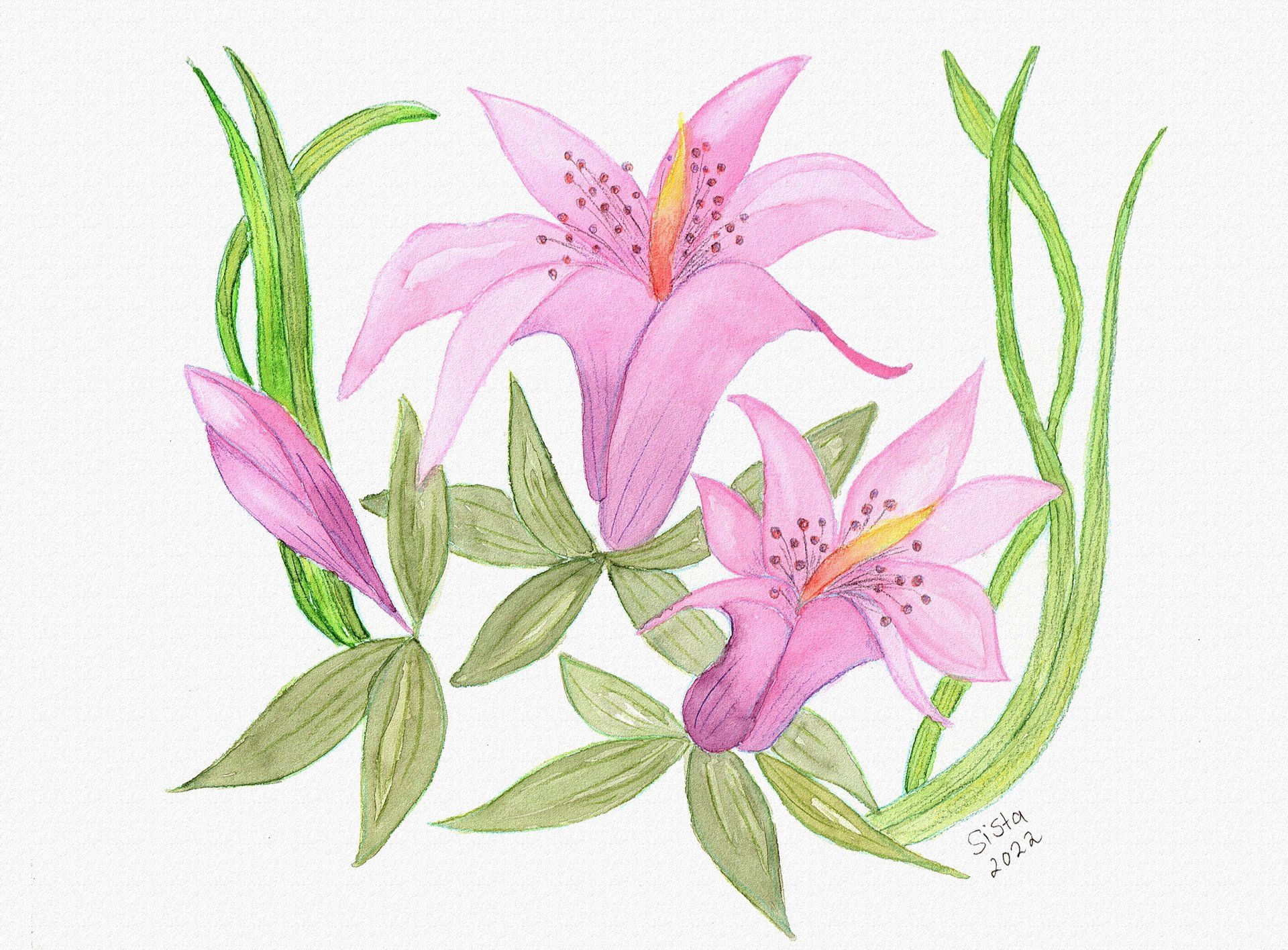 Neue Wege - Neue Möglichkeiten Collage Neue Wege Neue Möglichkeiten