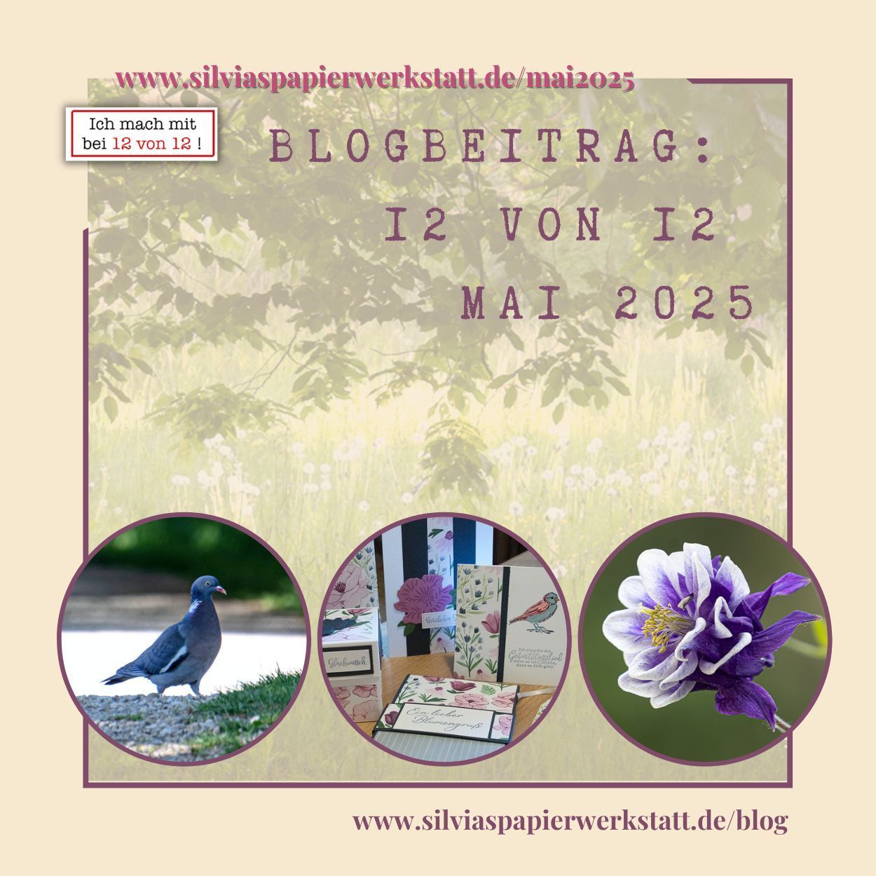 Neue Wege - Neue Möglichkeiten Collage Neue Wege Neue Möglichkeiten