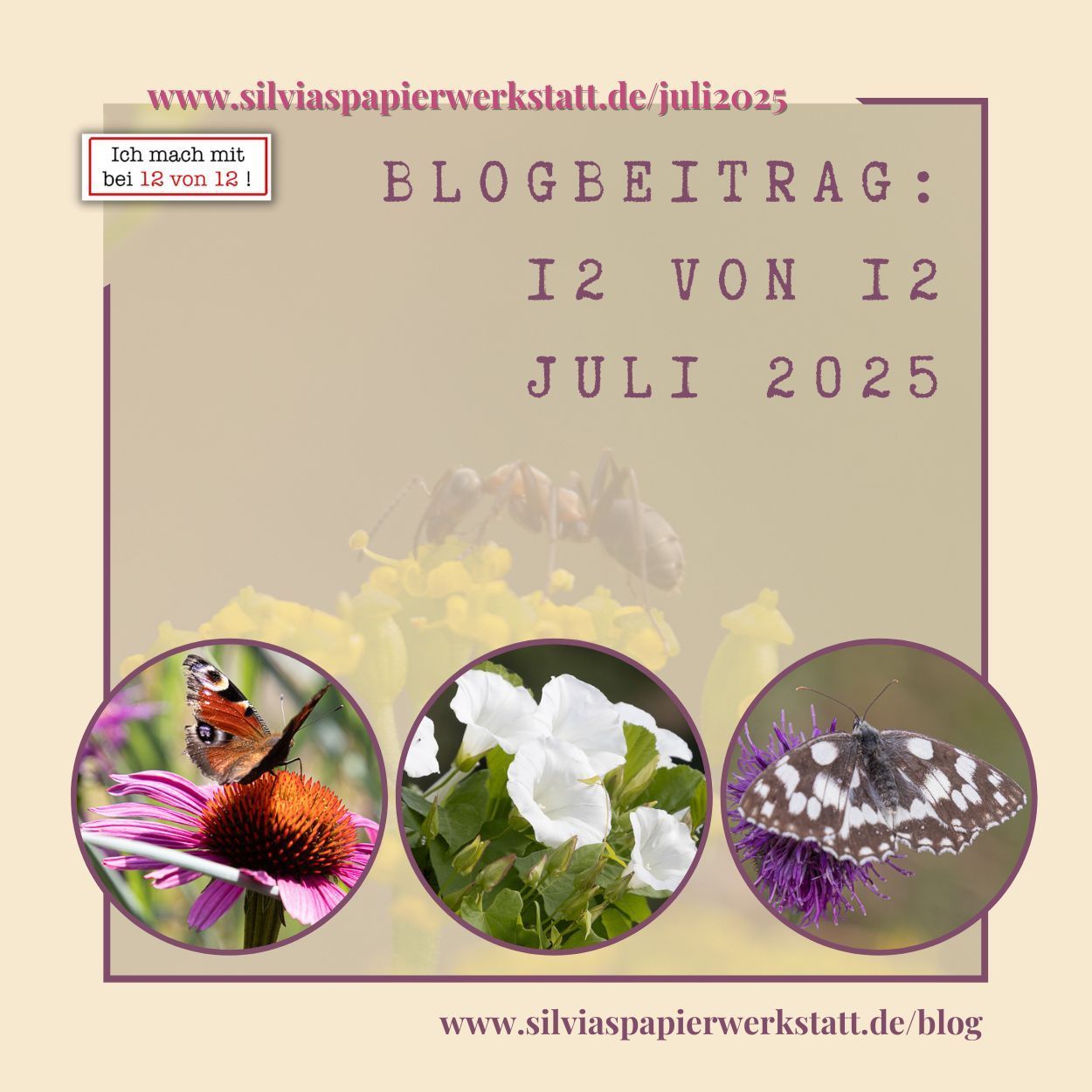 Neue Wege - Neue Möglichkeiten Collage Neue Wege Neue Möglichkeiten