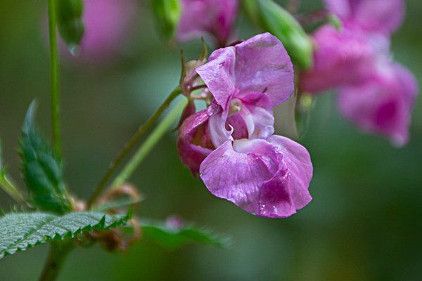 Ein letzter Gruß Grabgestaltung mit dem letzten Paar Schuhe