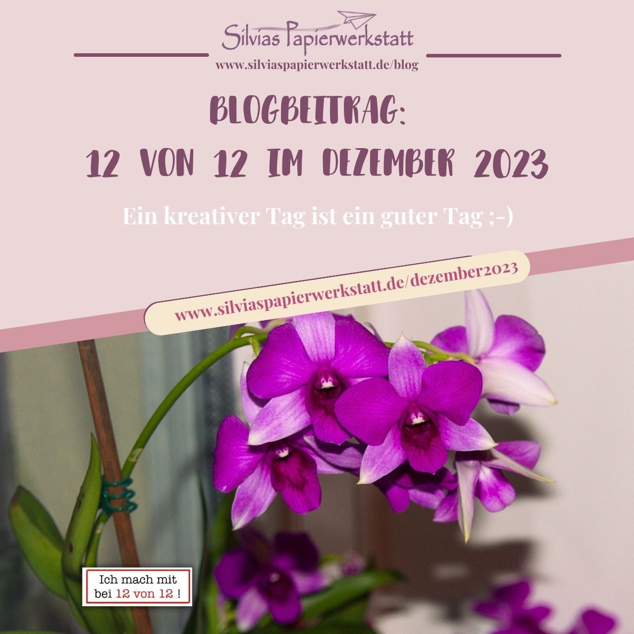 Neue Wege - Neue Möglichkeiten Collage Neue Wege Neue Möglichkeiten