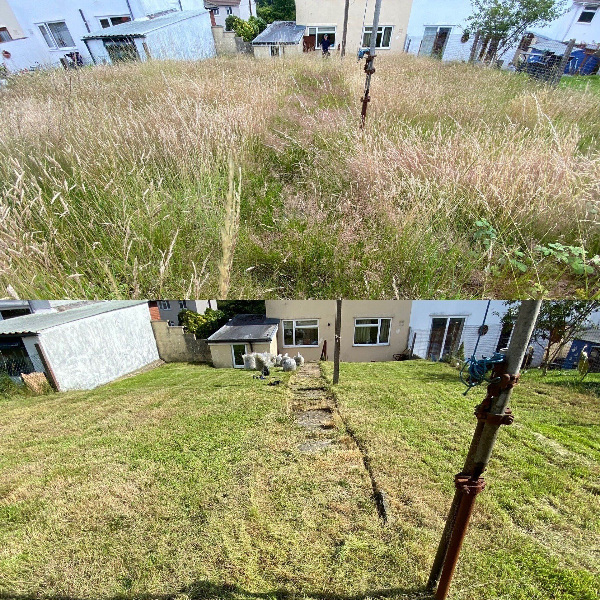 Before & After lawn
