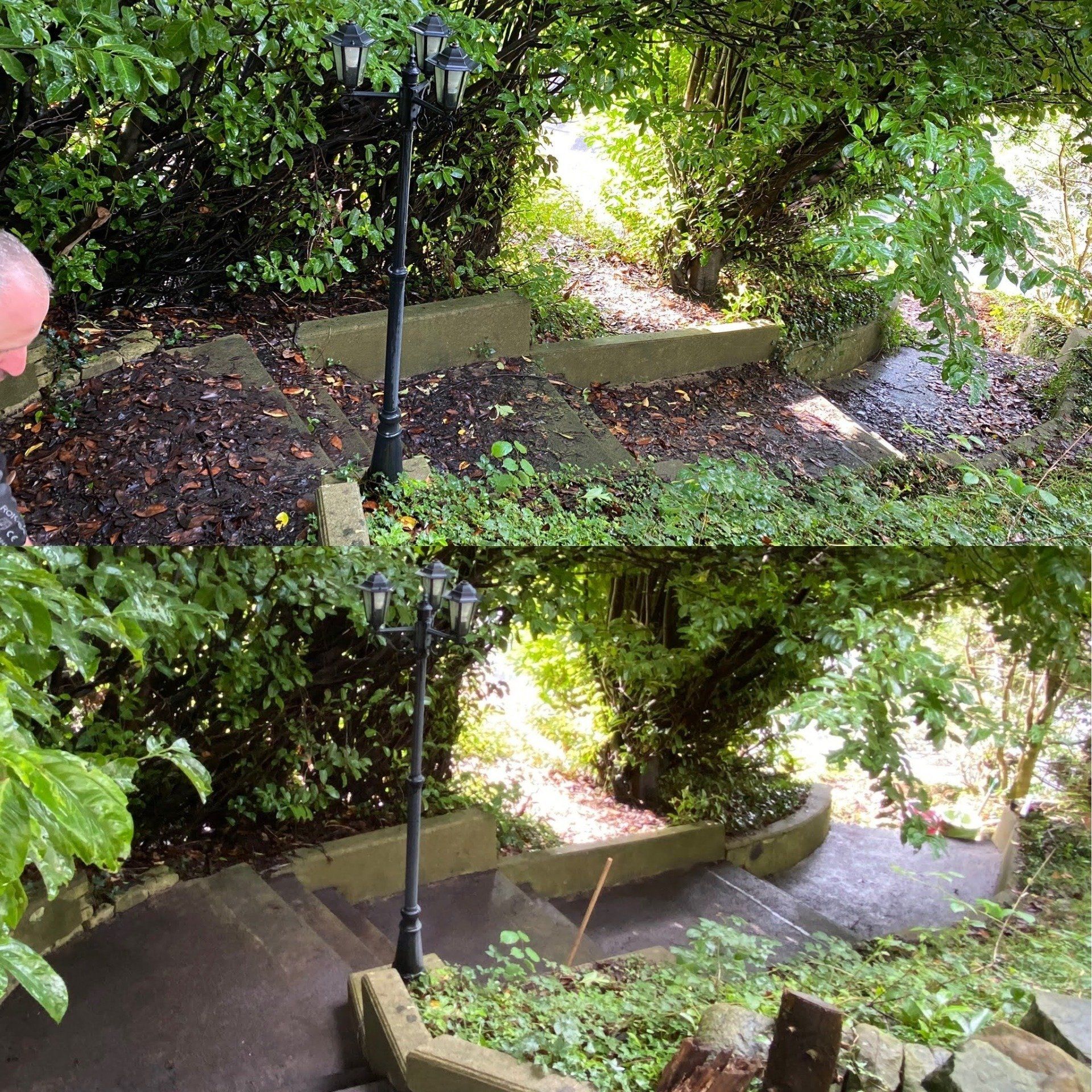 Before & After garden clearance