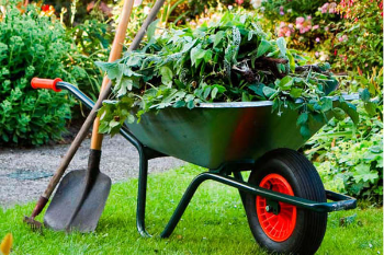 Tools & wheelbarrow