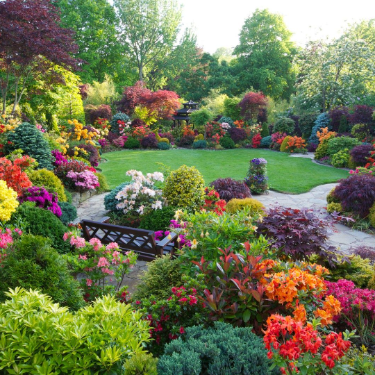 Hedge, Hedge trimmers, Red