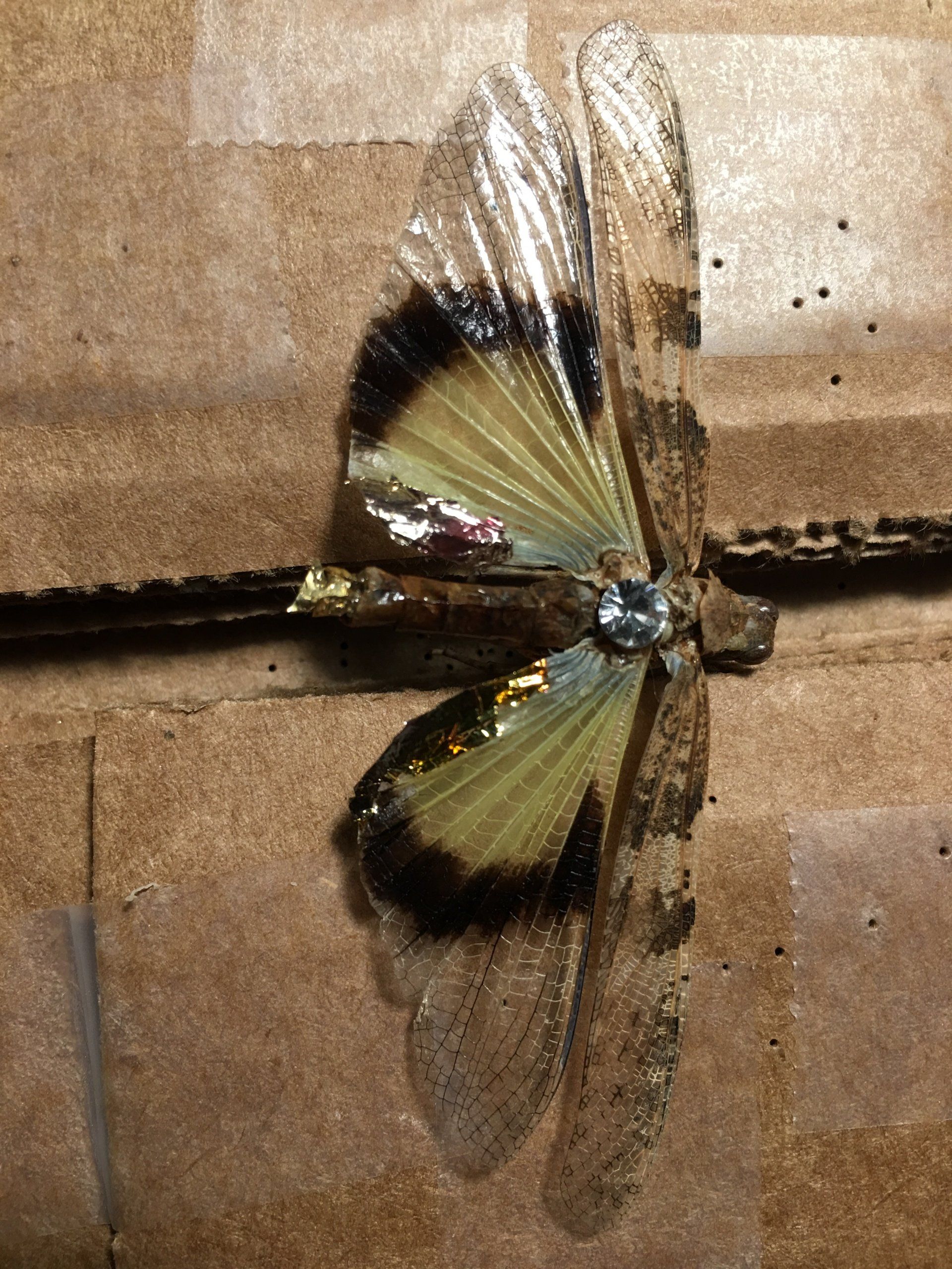 Grasshopper with gold leaf and swarovski crystal. c 2016