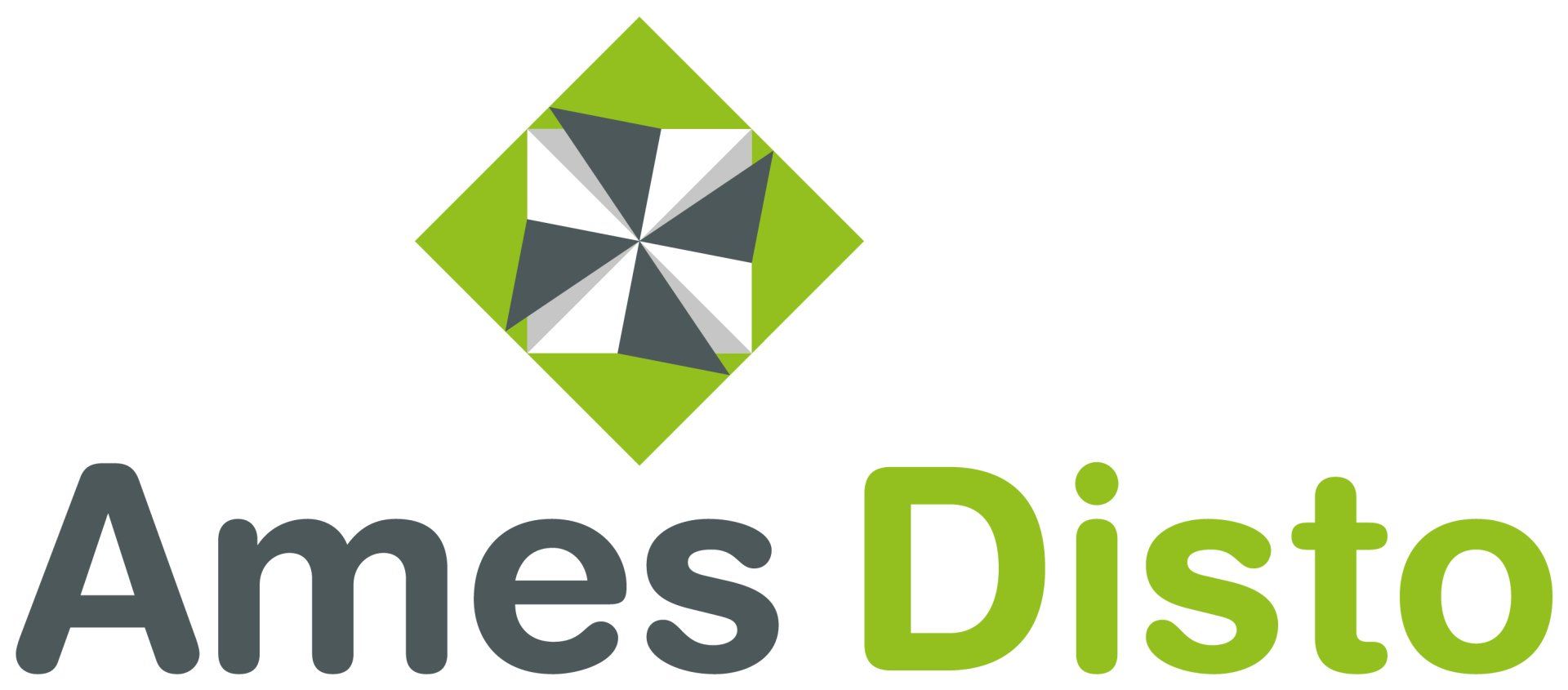 Logo Ames Disto