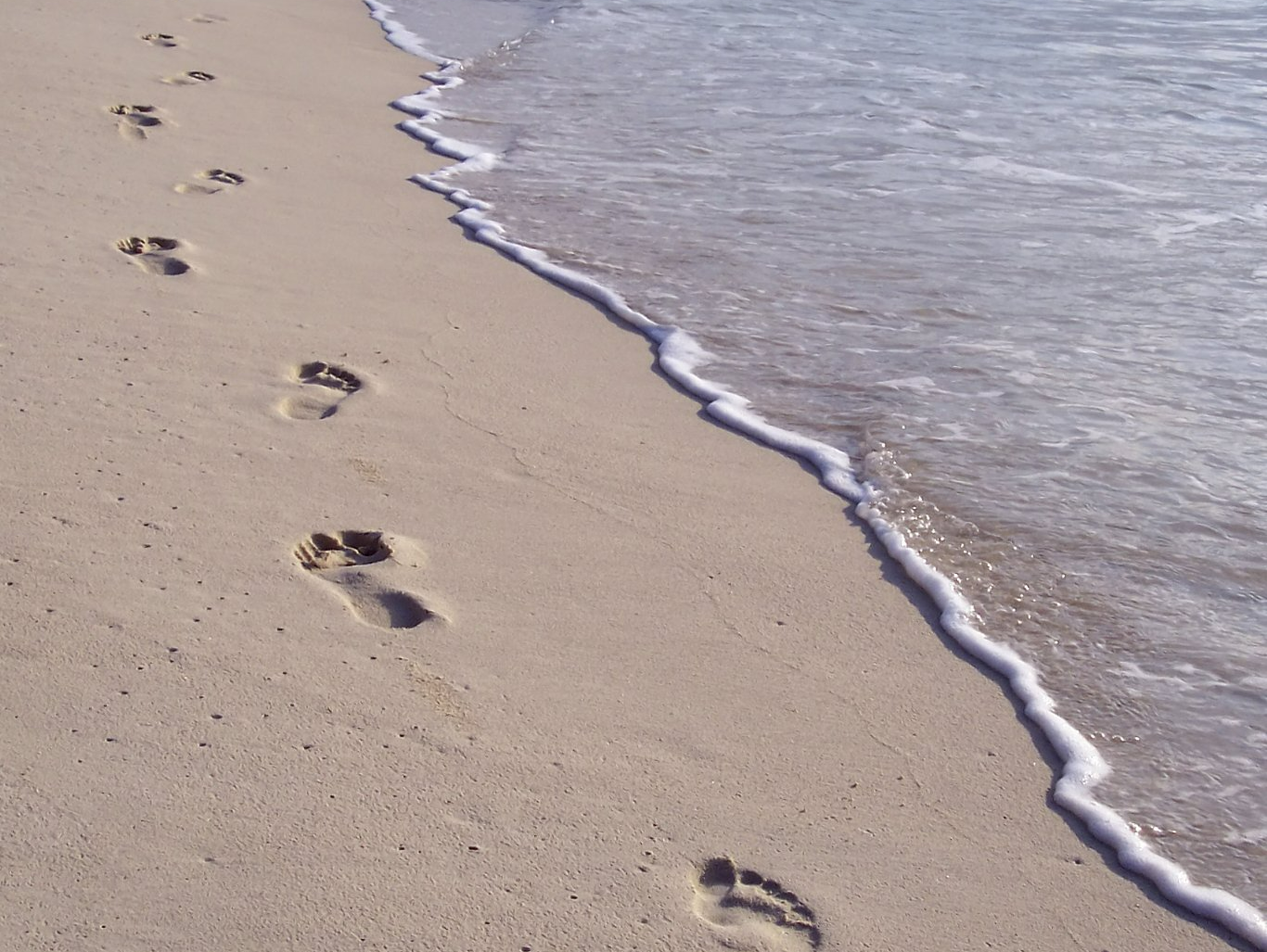 Dein Weg zu dir selbst. Your path to yourself.