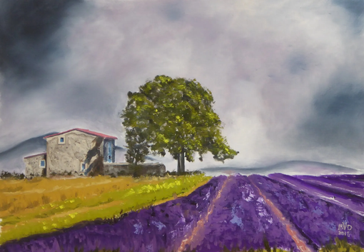 Farmhouse and Lavender Field, Provence, France