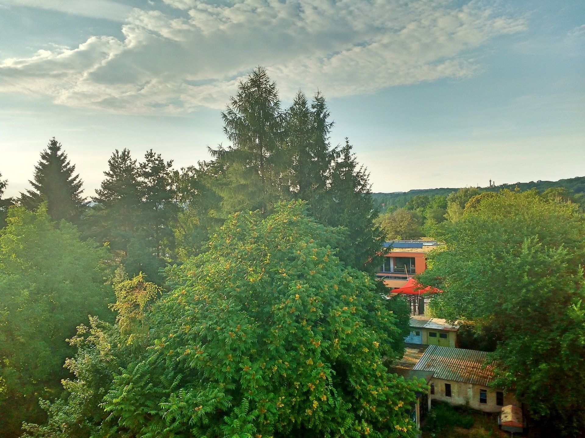 Aussicht vom Esstisch