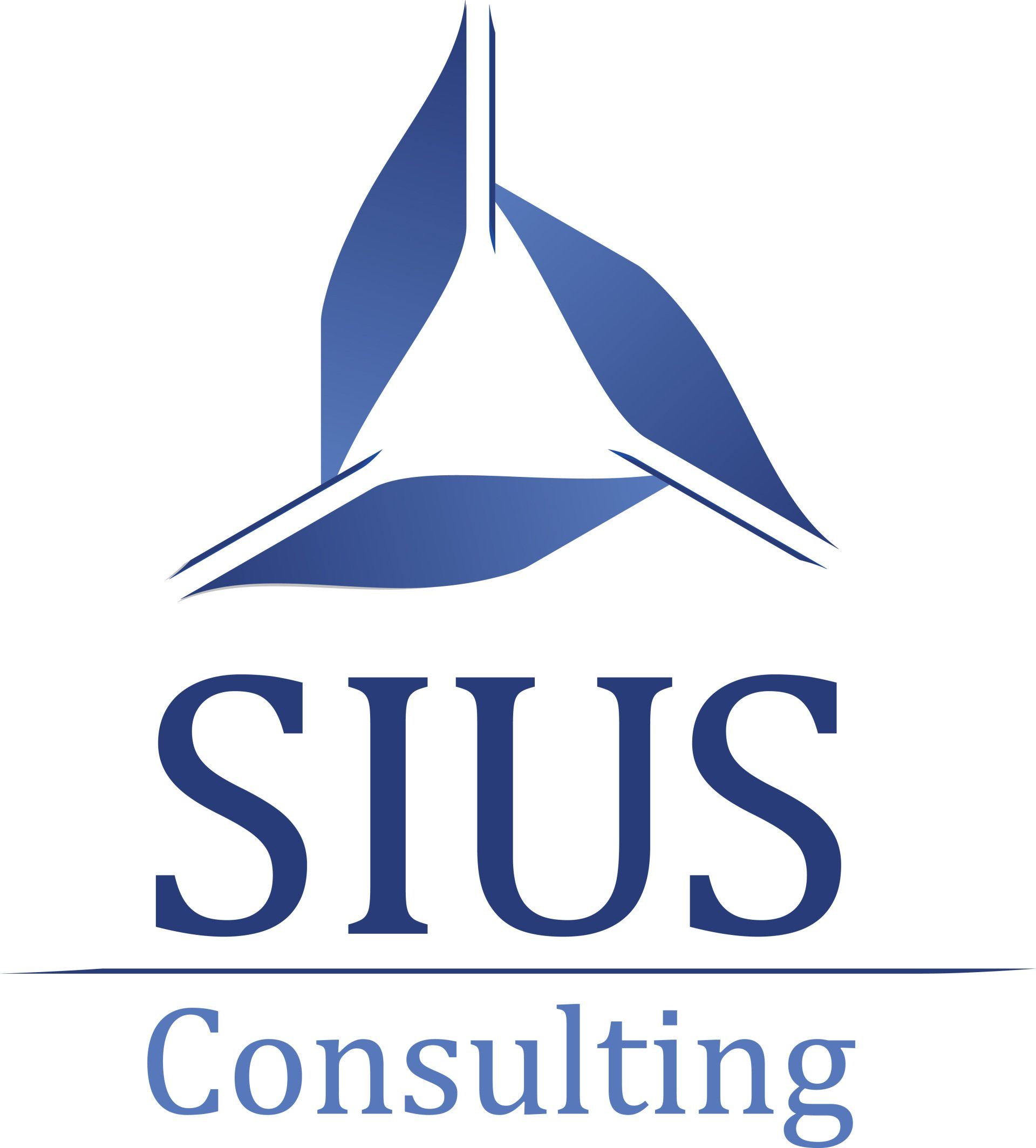 SIUS Consulting: Sicherheitsberatung und Krisenmanagement