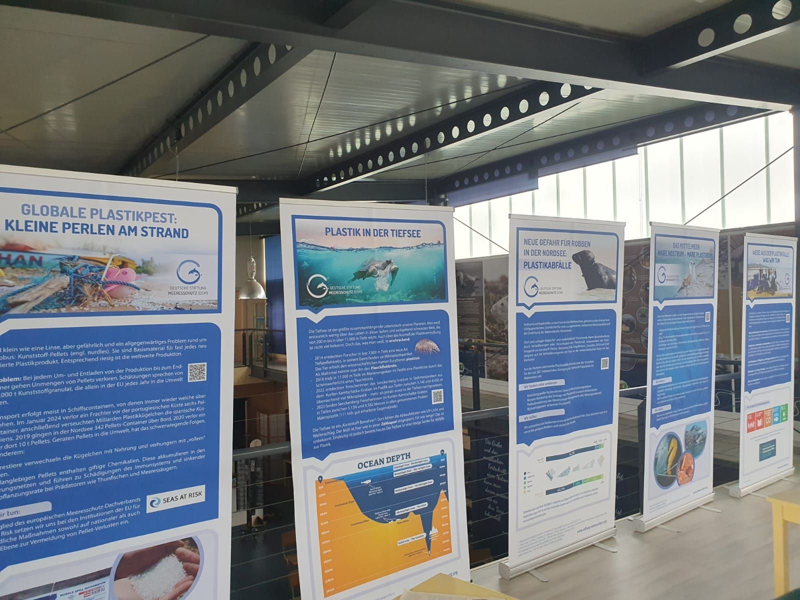 Ausstellung im Robbenzentrum Föhr mit Informationen über Tierschutz und Meeresbiologie