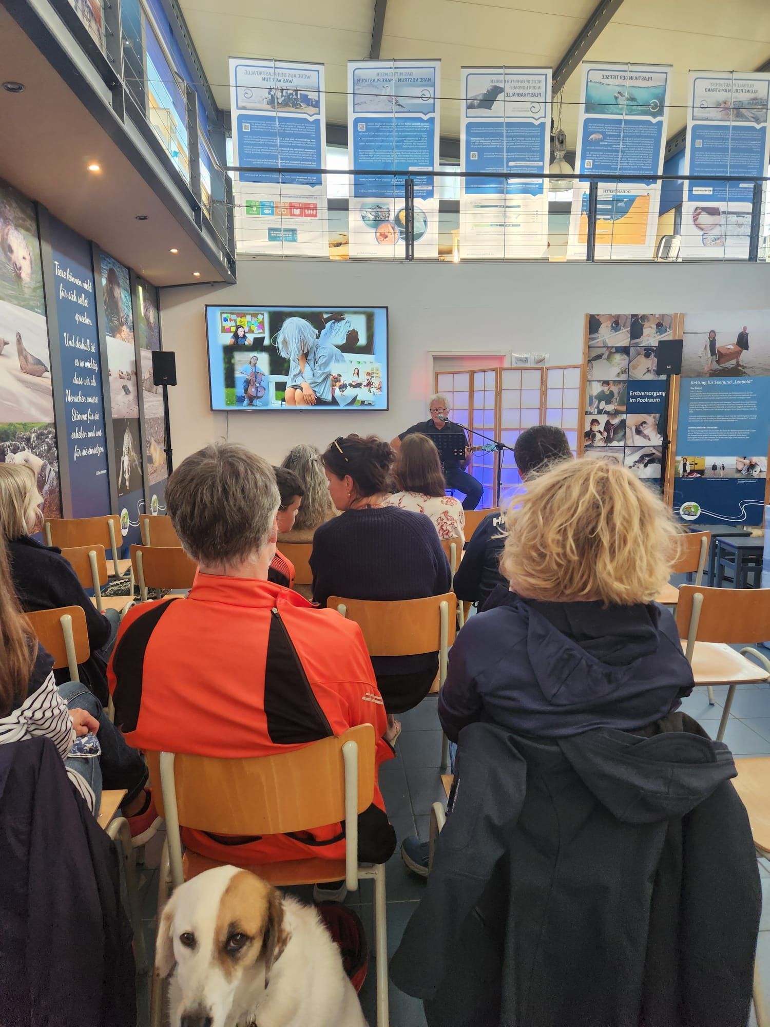 Konzertabend im Robbenzentrum Föhr, Veranstaltung