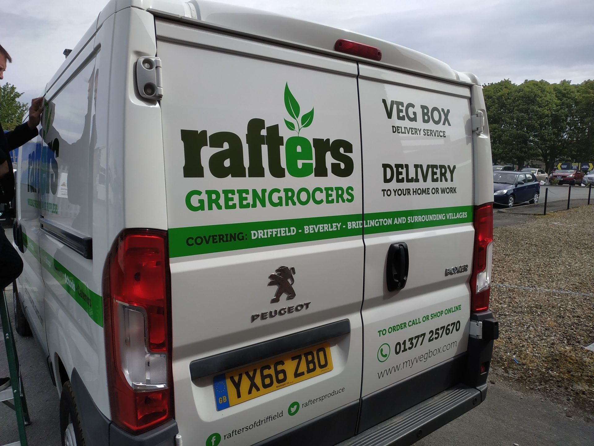 Window Graphic
