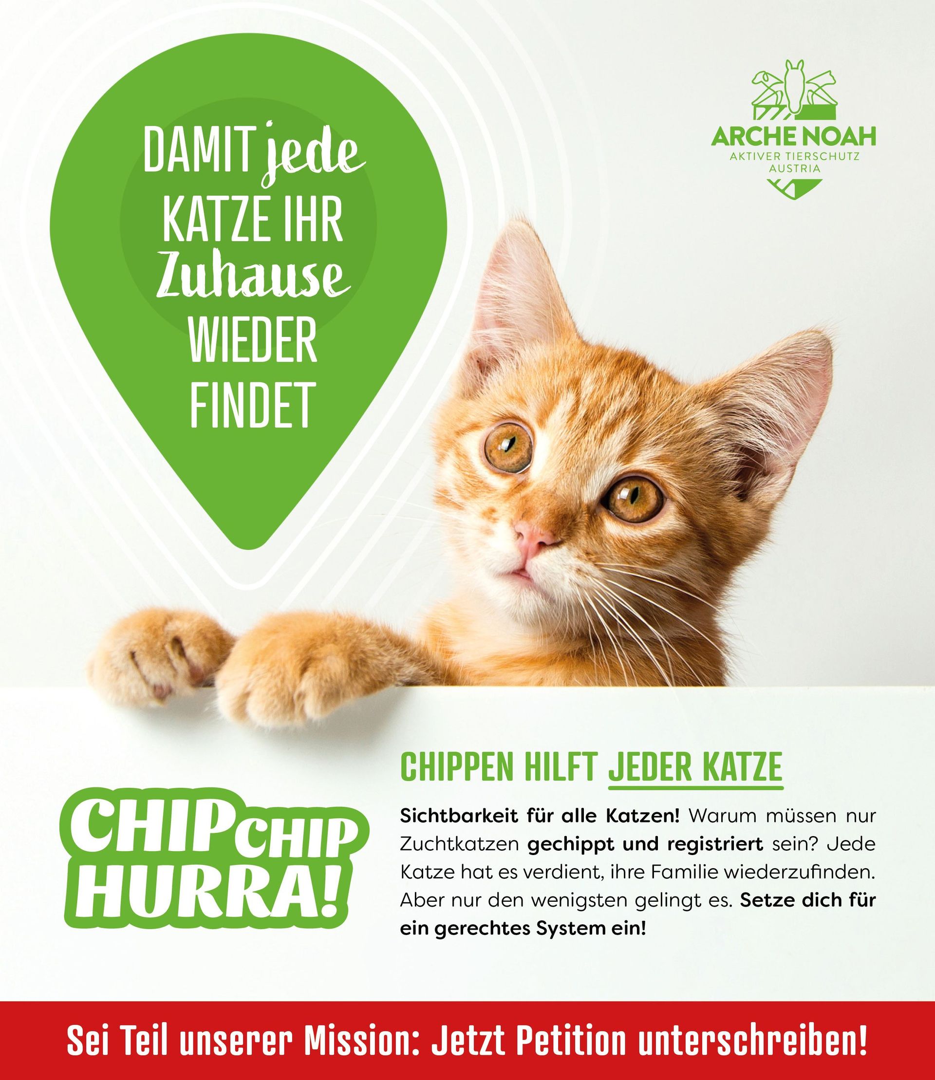 Chippen hilft jeder Katze, Chip Chip Hurra, Petition, Aktiver Tierschutz Austria, Arche Noah, Gefunden und doch verloren, Sichtbarkeit für alle Katzen, jede Katze hat es verdient, ihre Familie wiederzufinden, 