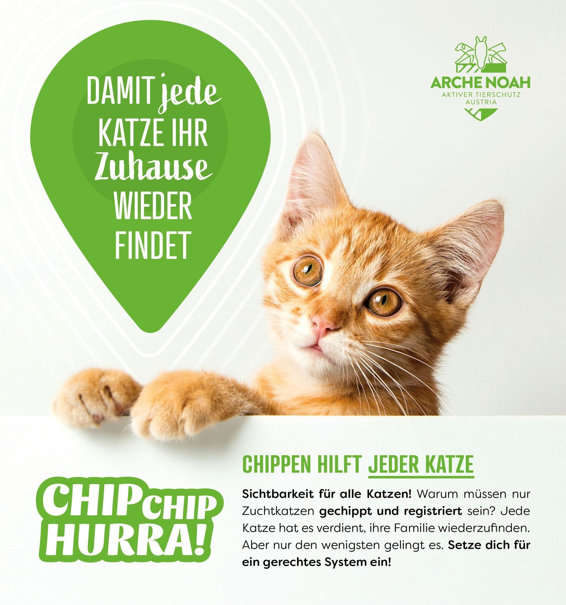 Chippen hilft jeder Katze, Chip Chip Hurra, Petition, Aktiver Tierschutz Austria, Arche Noah, Gefunden und doch verloren, Sichtbarkeit für alle Katzen, jede Katze hat es verdient, ihre Familie wiederzufinden, 