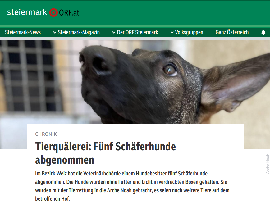 Abnahme Schäferhunde, Weiz, Aktiver Tierschutz, ORF, Presse, Presseaussendung, Arche Noah
