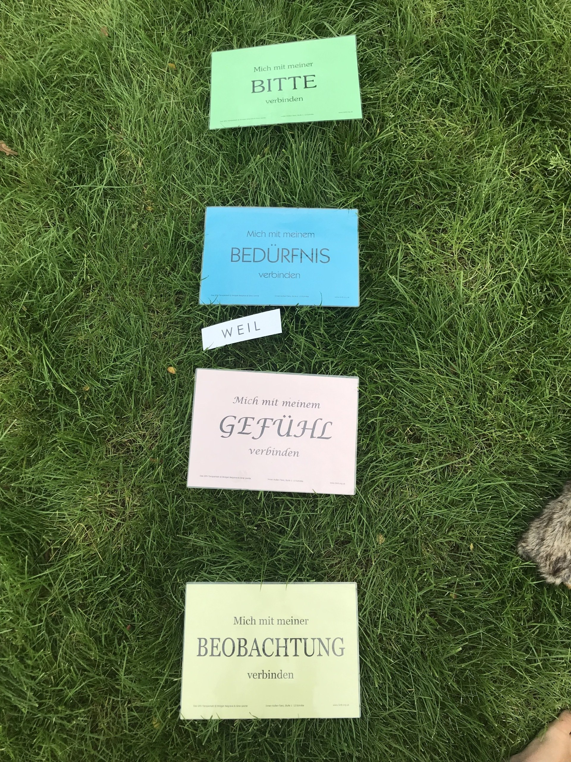 Alexandra Brand, Familien Coaching, Familienaufstellungen, CranioSacral, Meditation, OSHO