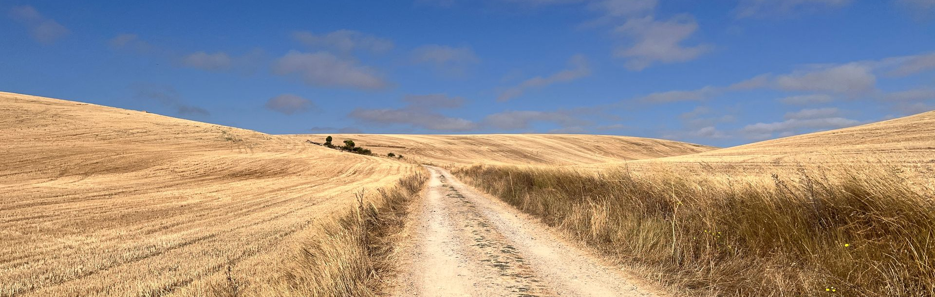 Alexandra Brand, Familien Coaching, Familienaufstellungen, CranioSacral, Meditation, OSHO