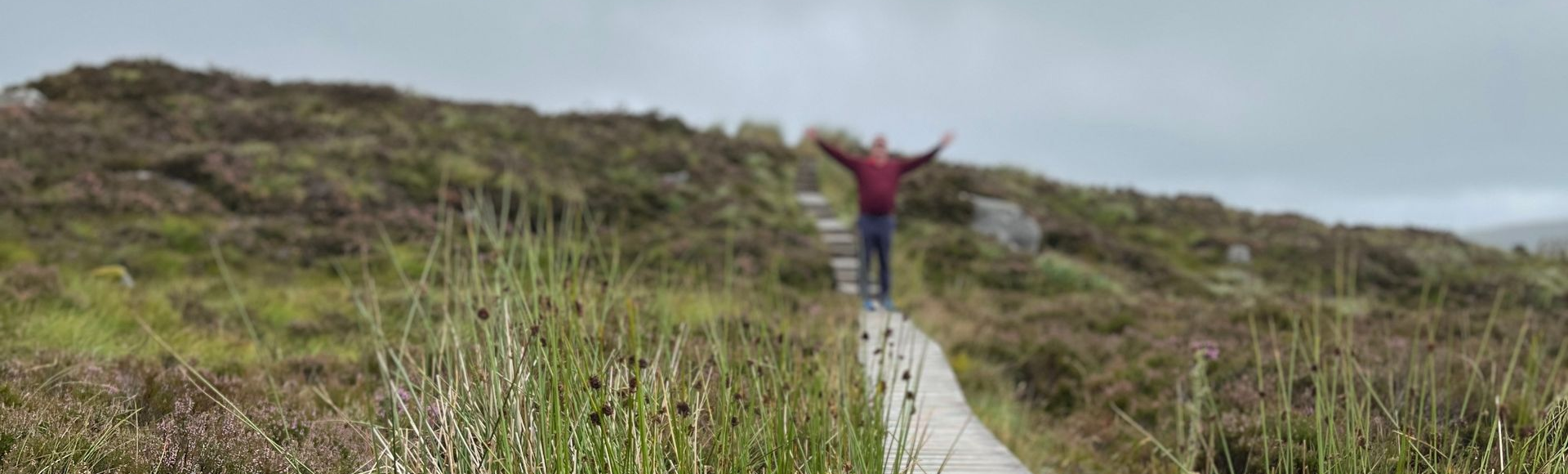 Alexandra Brand, Familien Coaching, Familienaufstellungen, CranioSacral, Meditation, OSHO