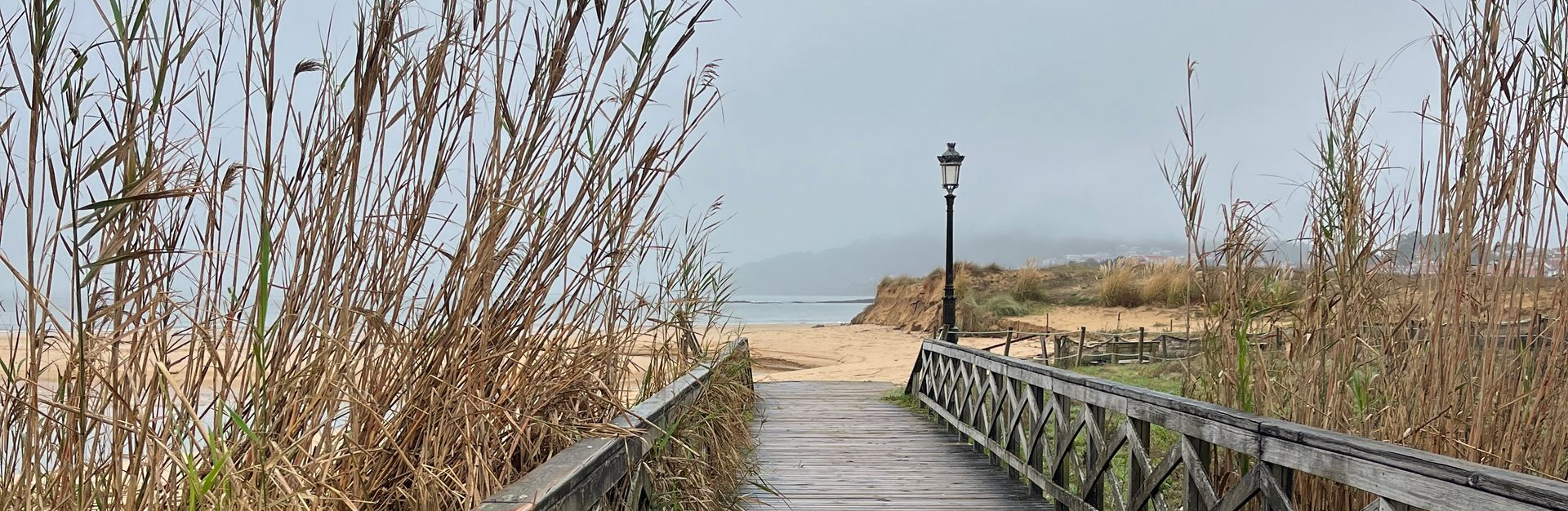 Alexandra Brand, Familien Coaching, Familienaufstellungen, CranioSacral, Meditation, OSHO