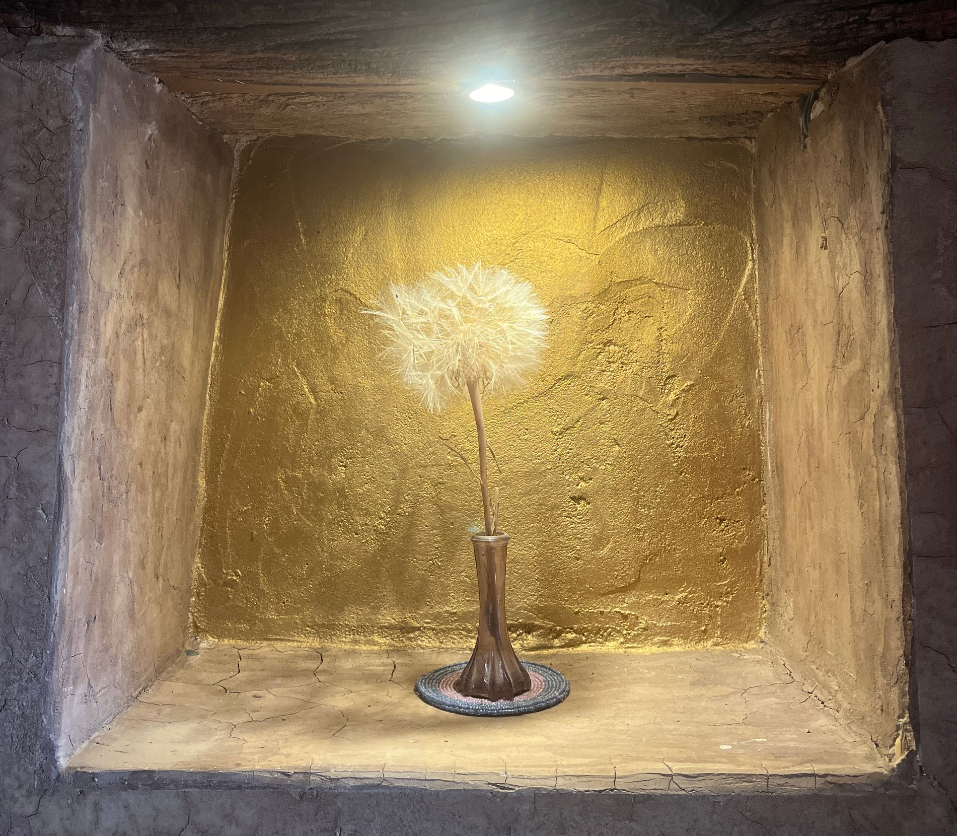 Alexandra Brand, Familien Coaching, Familienaufstellungen, CranioSacral, Meditation, OSHO