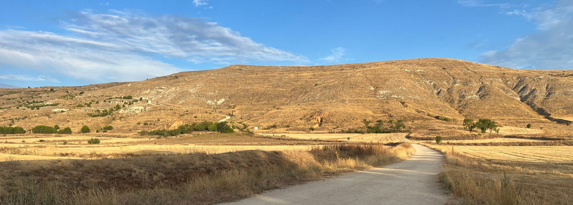 Alexandra Brand, Familien Coaching, Familienaufstellungen, CranioSacral, Meditation, OSHO