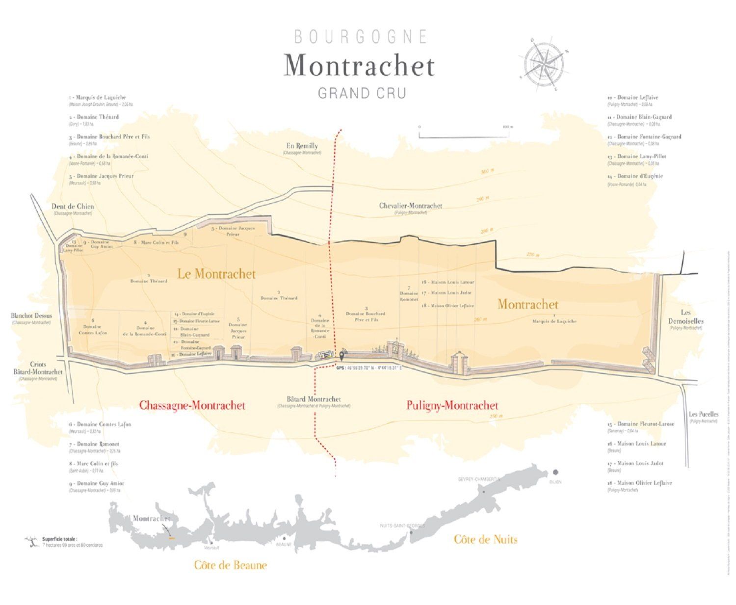 Dégustation thématique  - Montrachet & CO