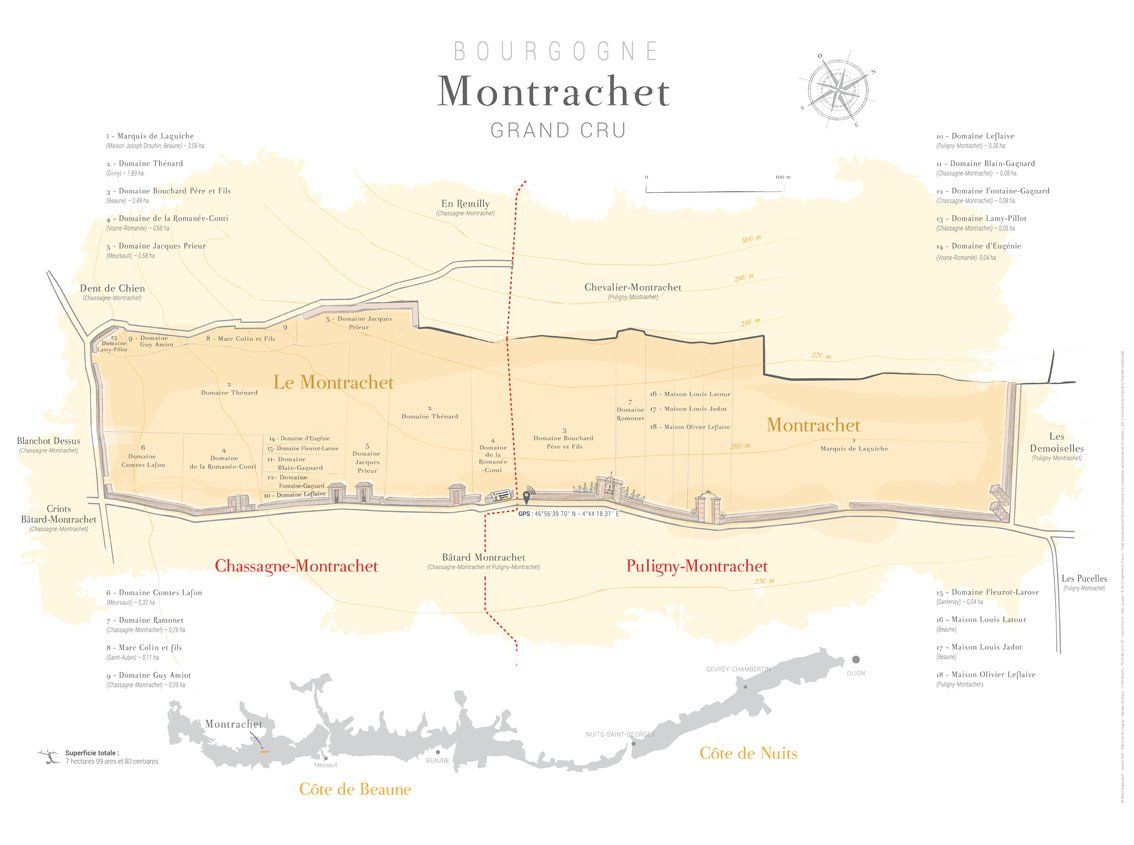Dégustation thématique - Montrachet & Co