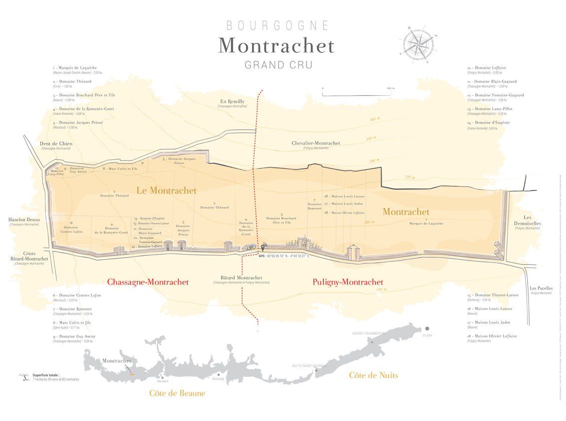 Zoom Theme tasting - Montrachet & Co