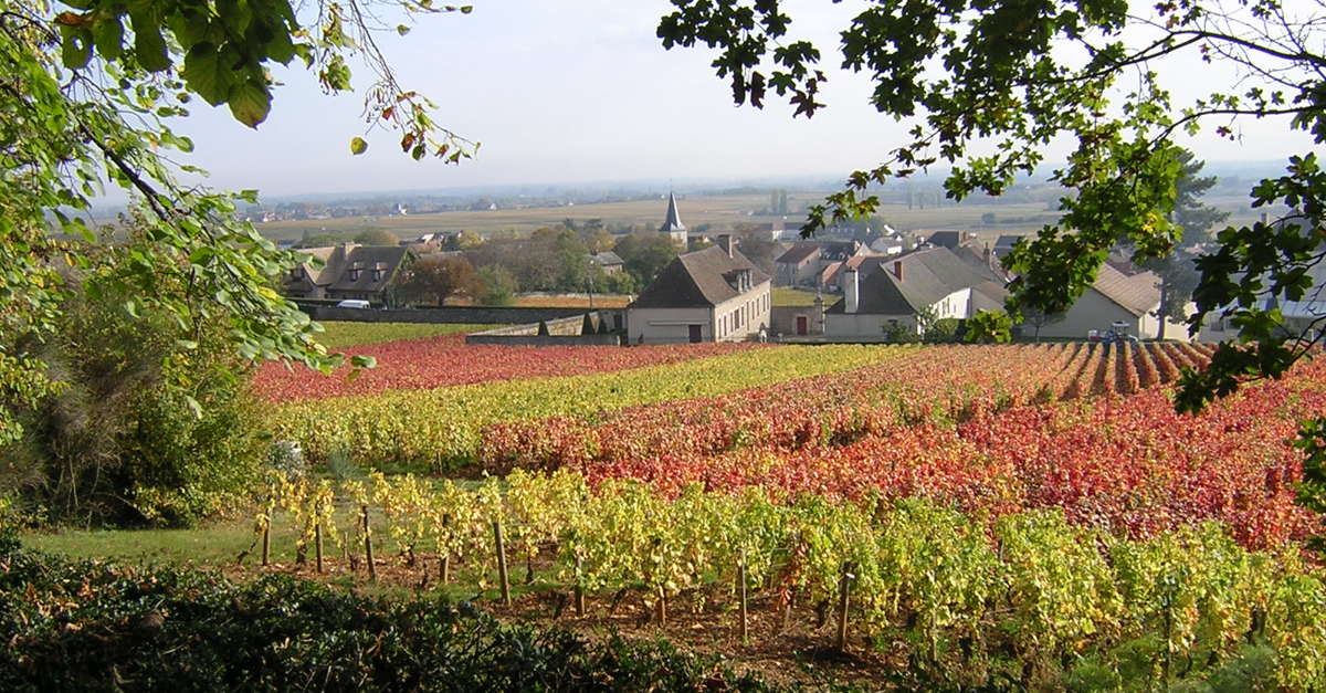 Agrandir Dégustation thématique  - Puligny-Montrachet