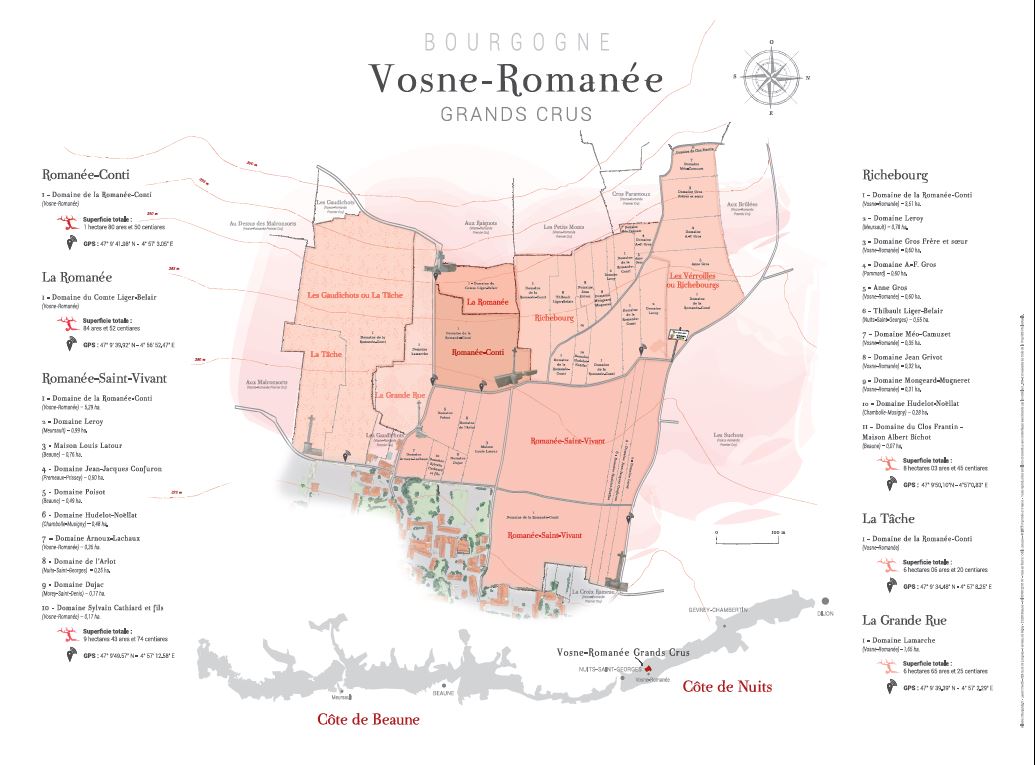 Agrandir Dégustation thématique -Vosne-Romanée