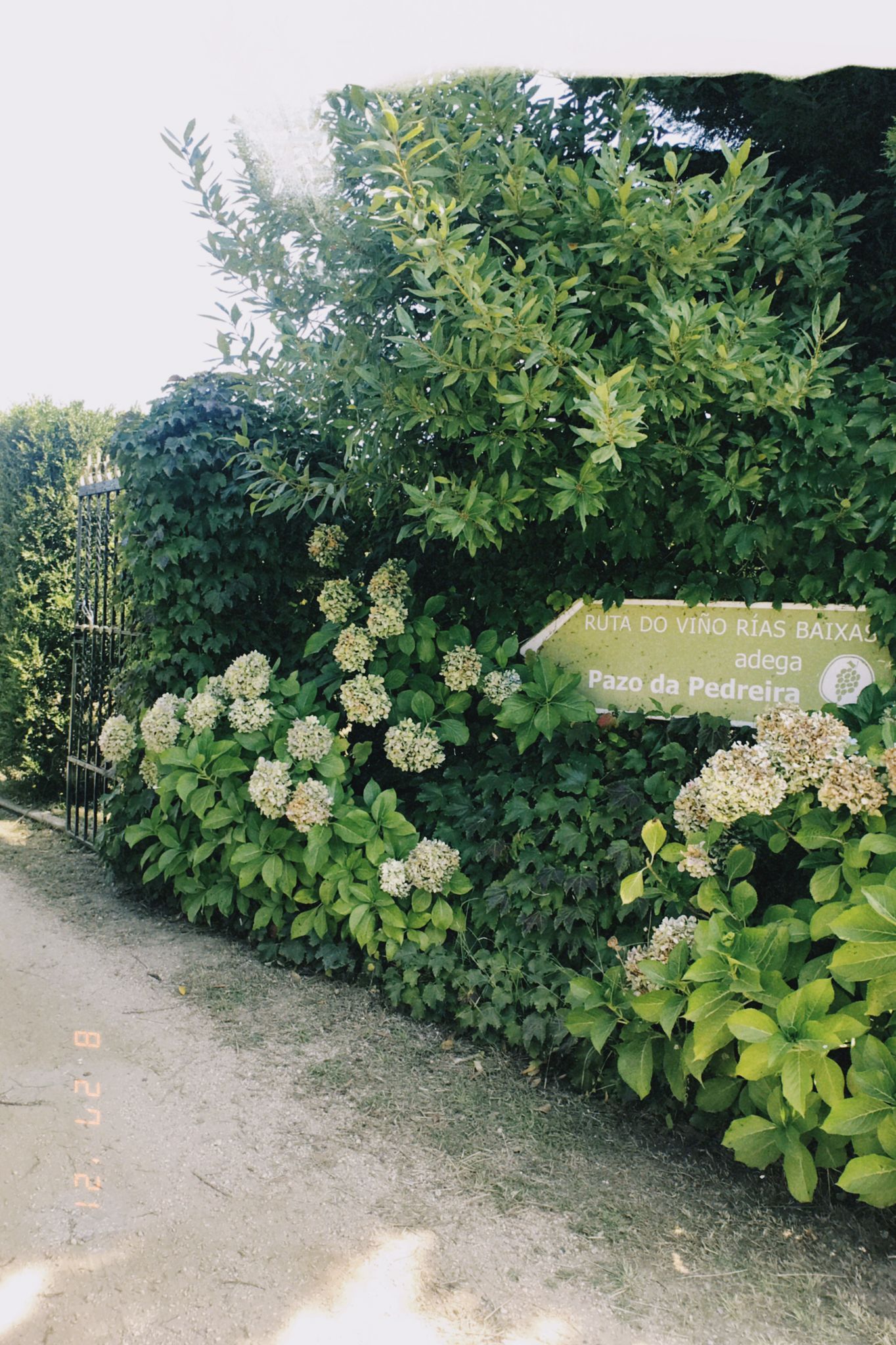 Entrada Boda Pazo de la Pedreira