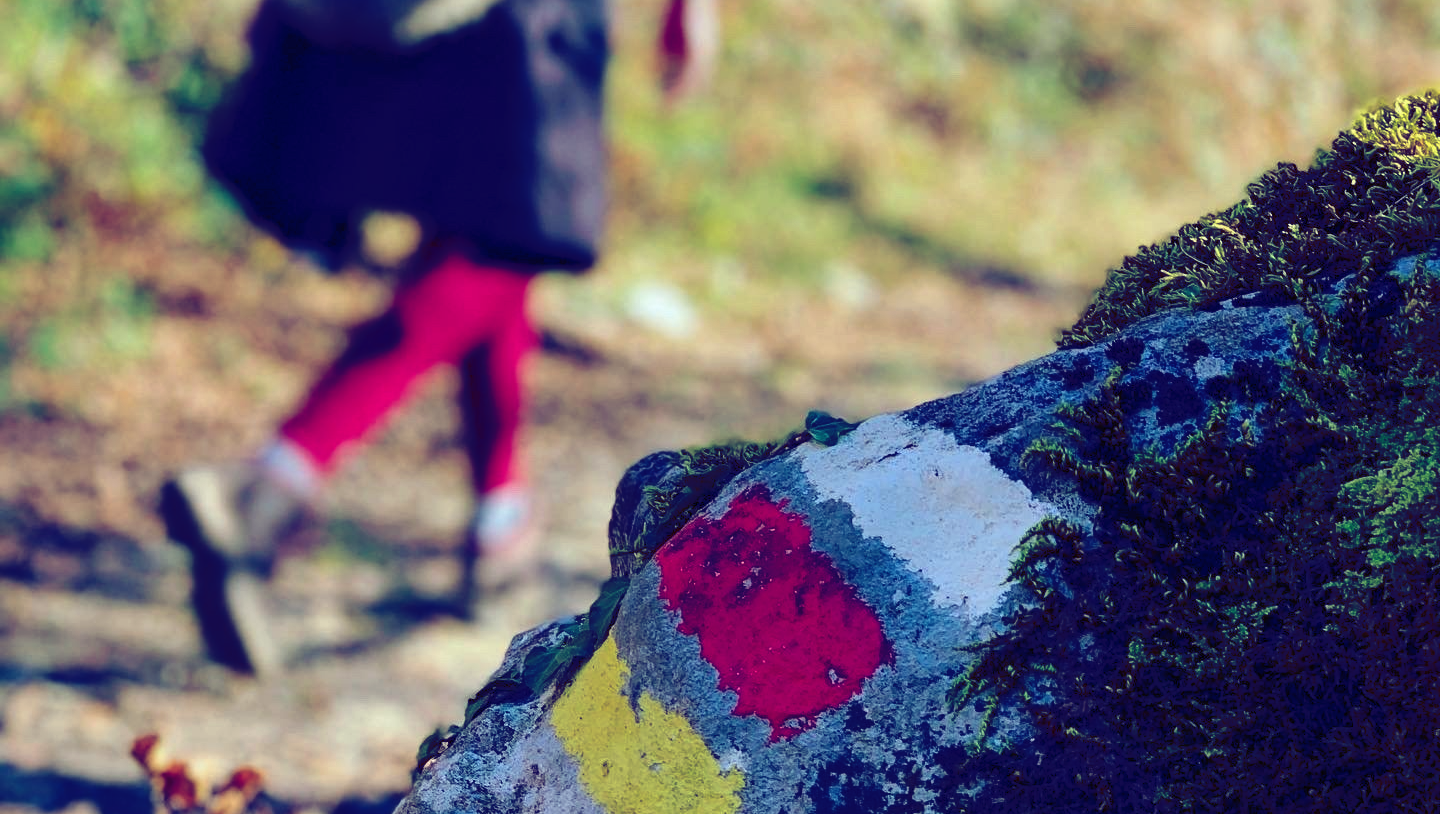 finca la naguada alrededores