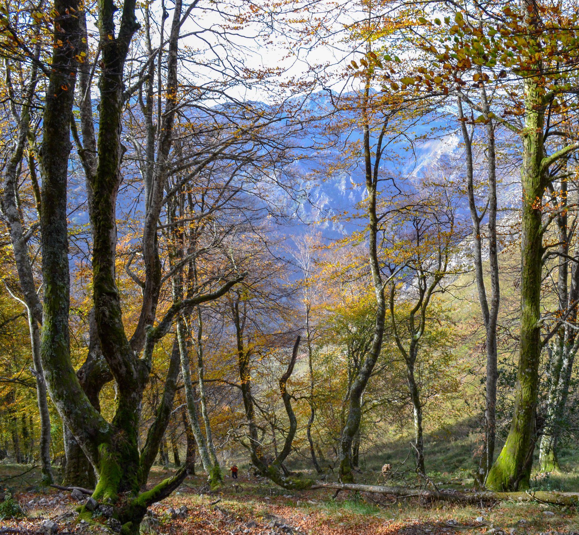 finca la naguada alrededores