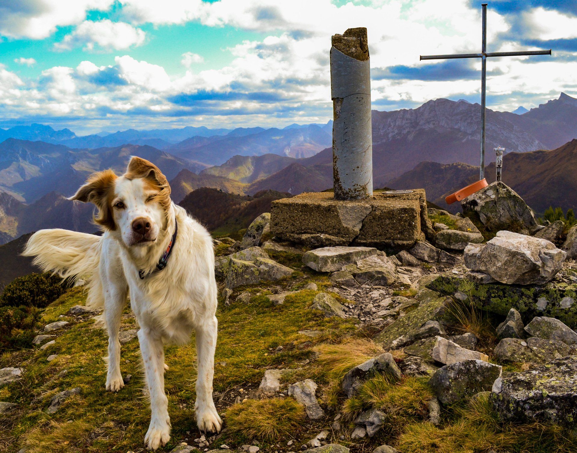pico vizcares en piloña rutas con perros en asturias
