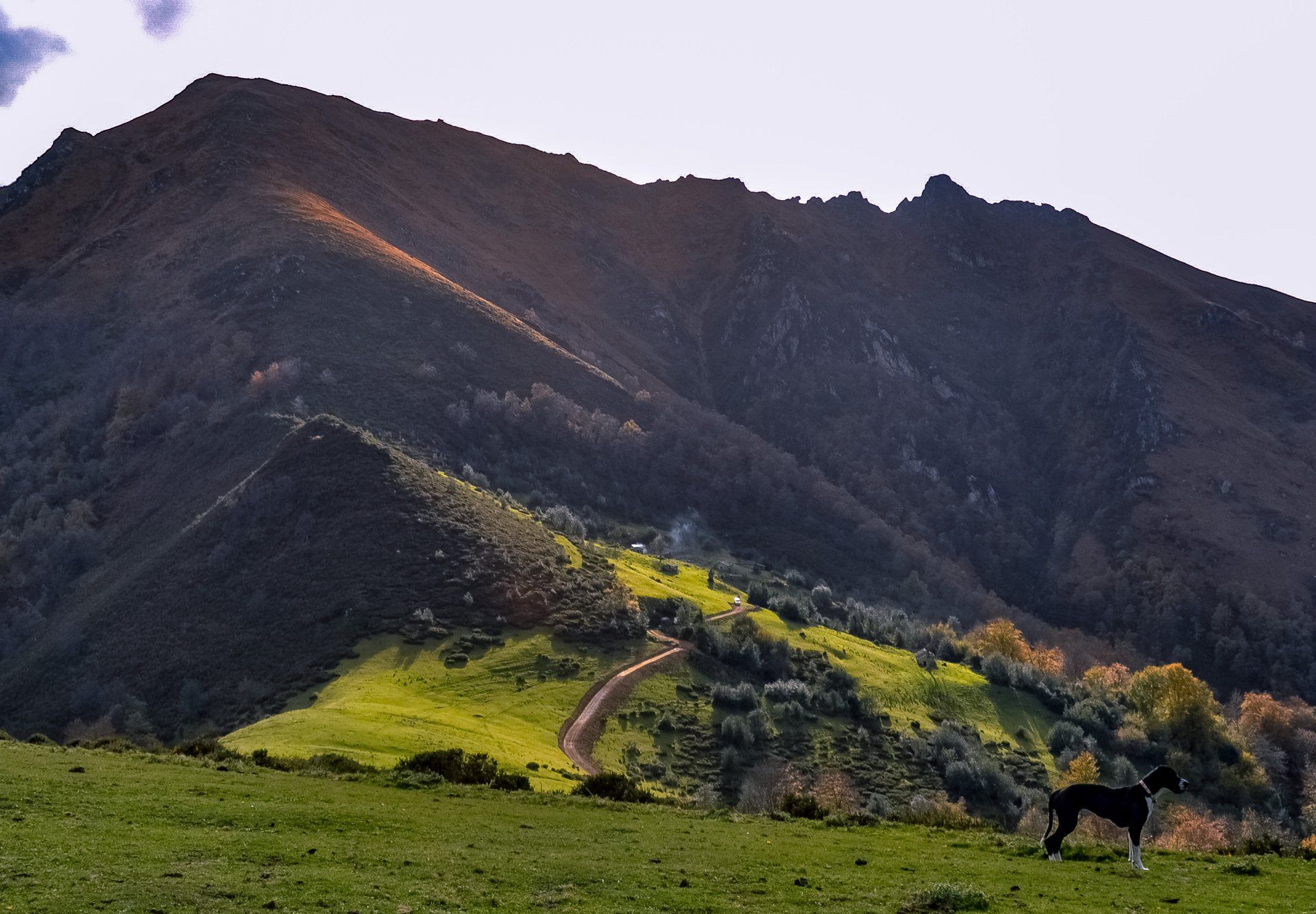 rutas para hacer con perro en asturias